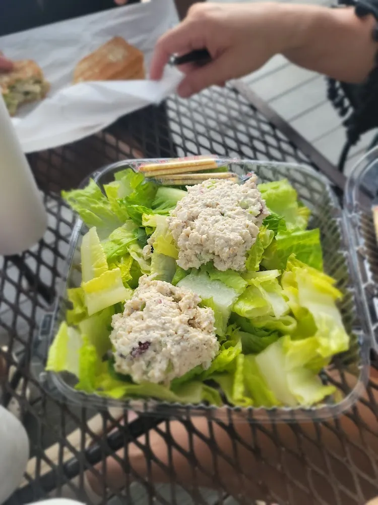 Chicken Salad